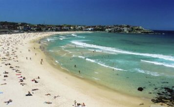 How to Travel in the Desert