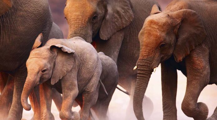 Top 10 Family Resorts Worldwide